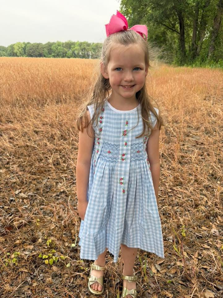 Blossoms & Blue Gingham Dress