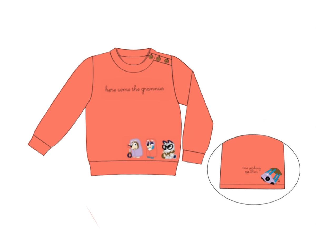 Here Come the Grannies Adult Pullover