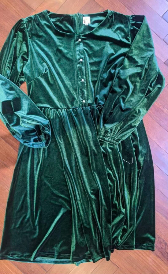 Adult Velvet Dress